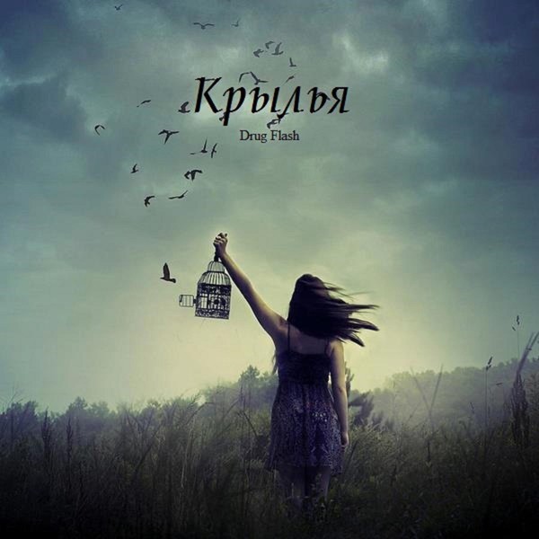 Drug Flash - Крылья