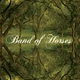 Band Of Horses - The Funeral