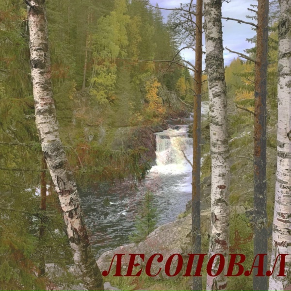 lesopoval - за окном дождь