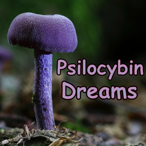 L.G. DuBoise - Psilocybin Dreams