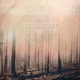 If These Trees Could Talk - The First Fire