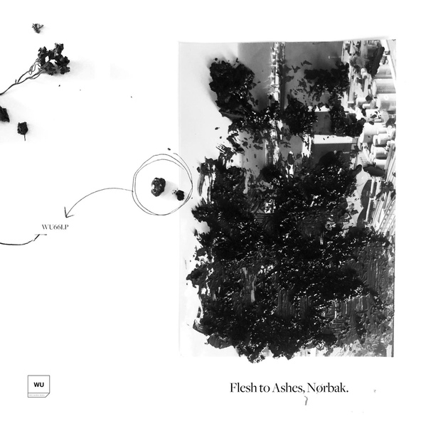 N&oslash;rbak - Genese
