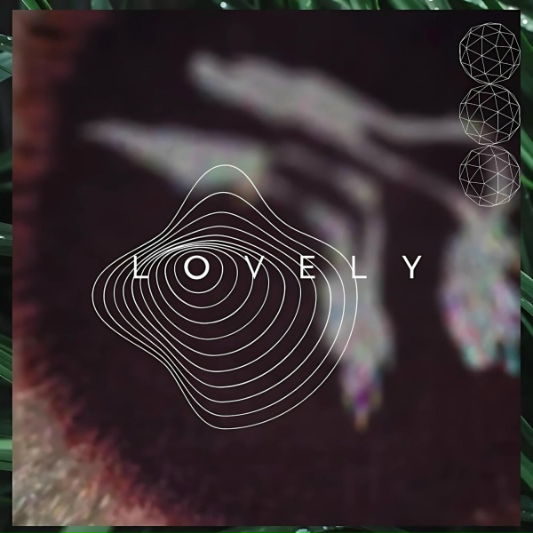 Slowsly - Black Bird