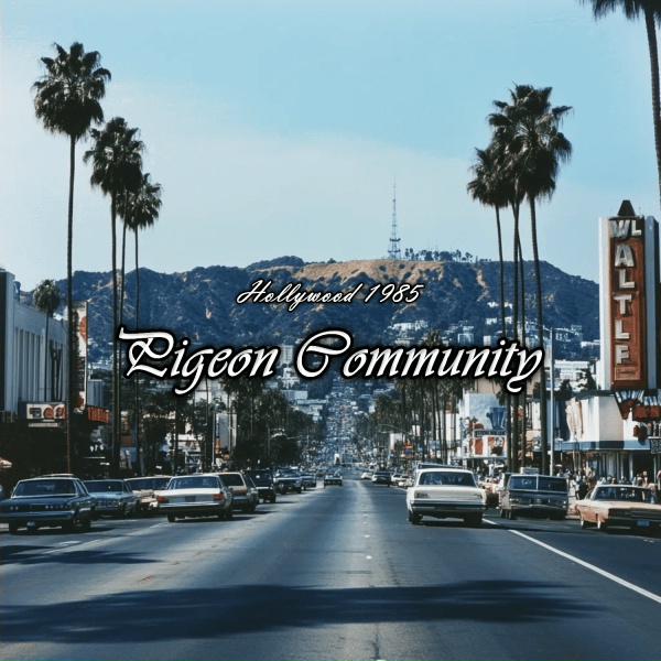 Pigeon Community - Last Light (Original Mix)