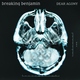 Breaking Benjamin - Into The Nothing