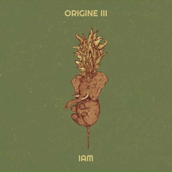 IAM - Aujourd&rsquo;hui