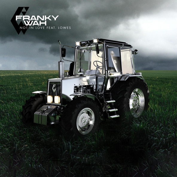 Franky Wah feat. LOWES - Not In Love