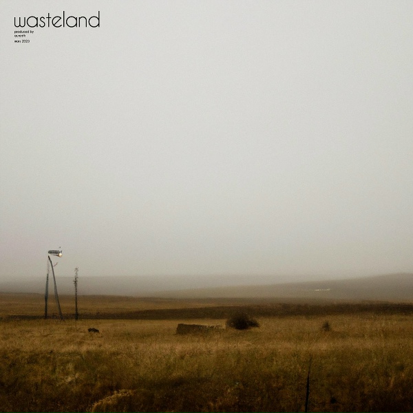 Aurenth - wasteland