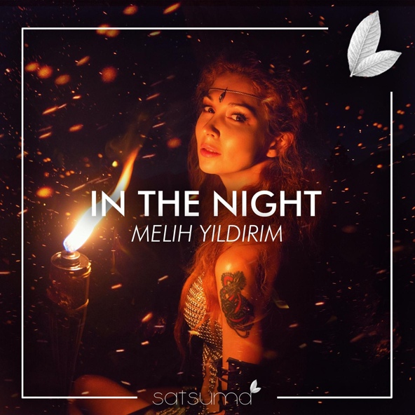 Melih Yıldırım - In The Night