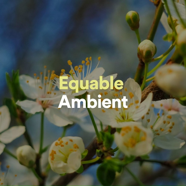 Meditation Music Club - Universal Ambient