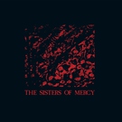The Sisters Of Mercy - No Time To Cry
