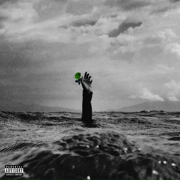 Yoshi Flower - Pull Up