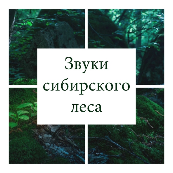 Александр Кузнецов - Спокойнo