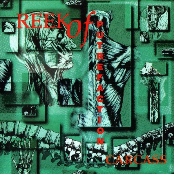 Carcass - Pyosisified (Rotten to the Gore)