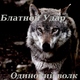 Блатной Удар - Одинокий волк