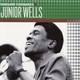 Junior Wells' Chicago Blues Band - Help Me