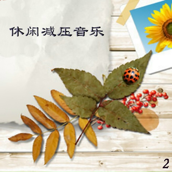 新时代轻音乐团 - 思乡曲