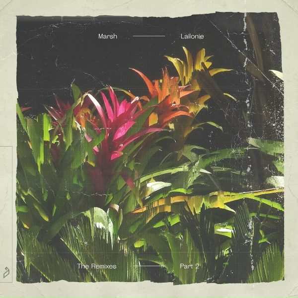 Marsh - Florence