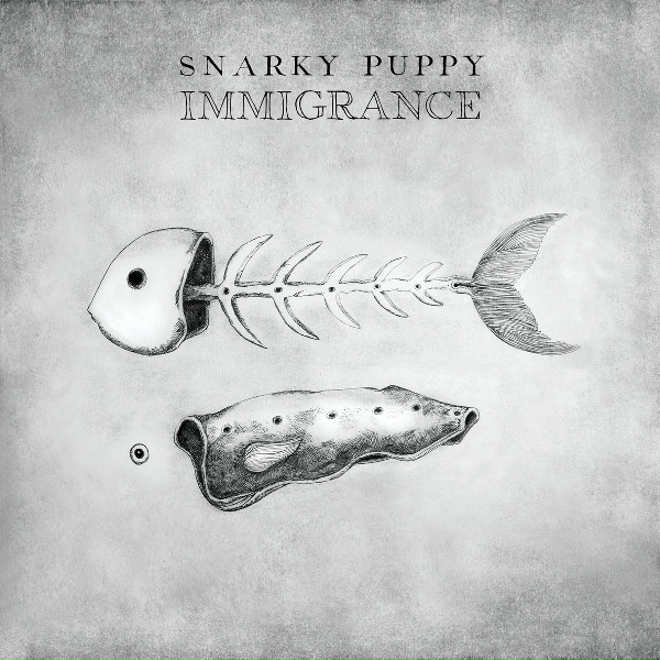 Snarky Puppy - While We're Young
