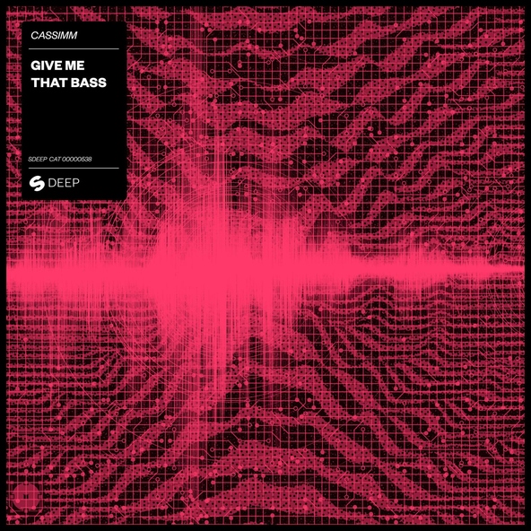 Cassimm - Give Me That Bass