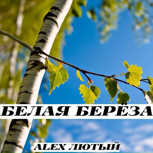 Alex Лютый - Белая берёза
