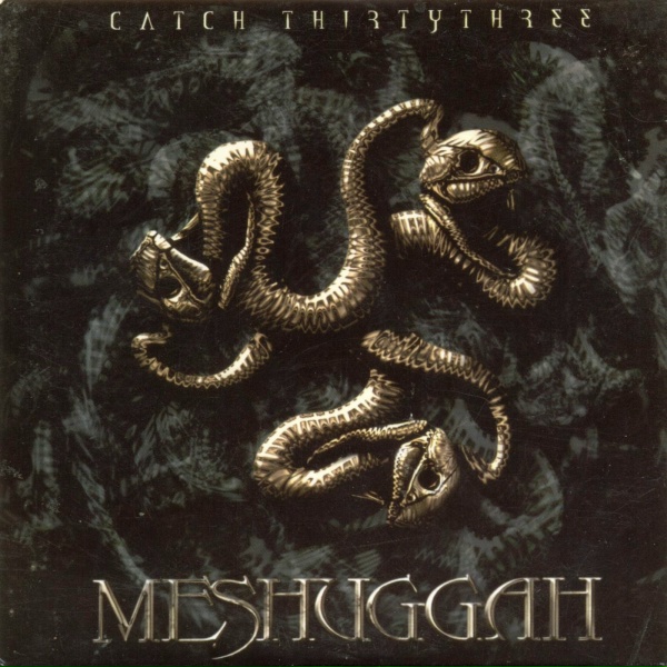 Meshuggah - Mind's Mirrors