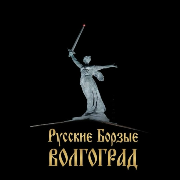 Русские Борзые - Волгоград