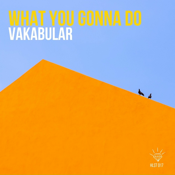 Vakabular - What You Gonna Do
