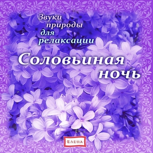 Детское издательство "Елена" - Ивы у реки. Соловей