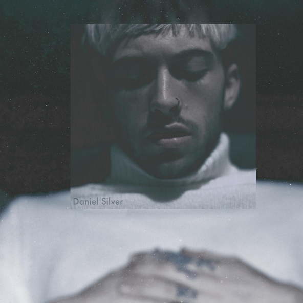 daniel silver - Dirt