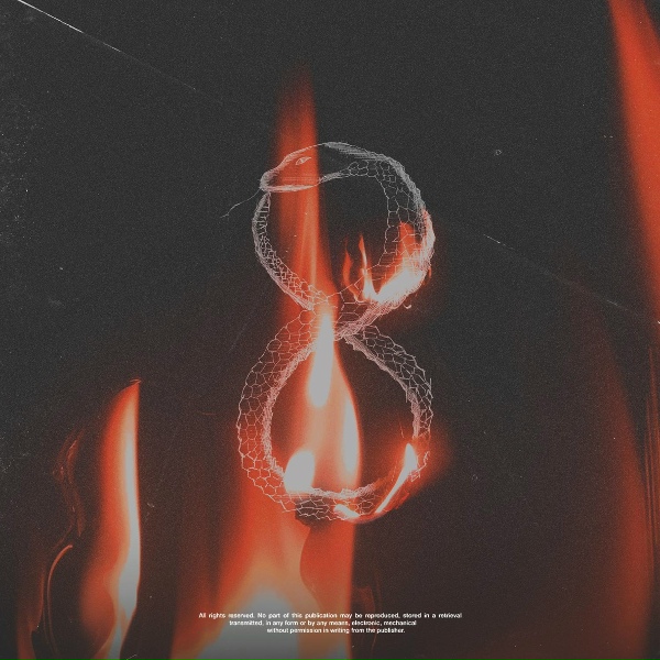 8SR - Выстрел