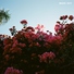 LANY - Bad, Bad, Bad