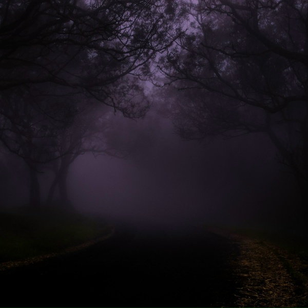 n&oslash;ave - emerging stronger from the darkness