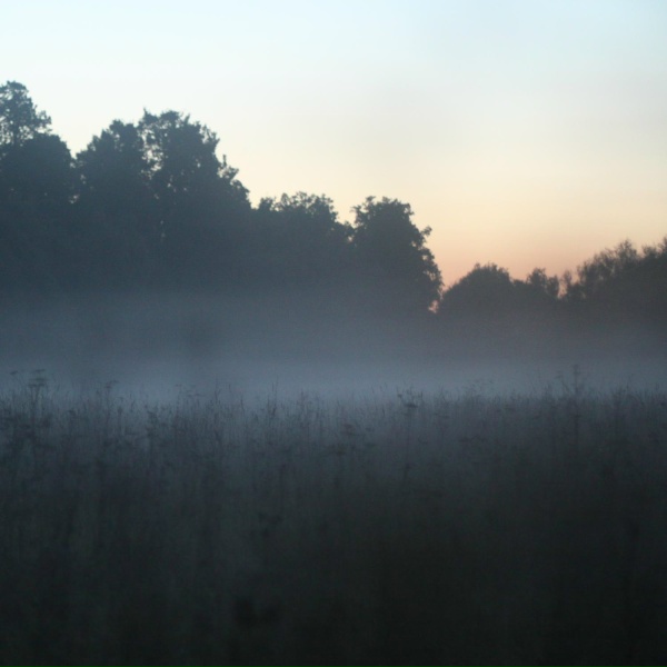 Alexander Demidov - Split fog