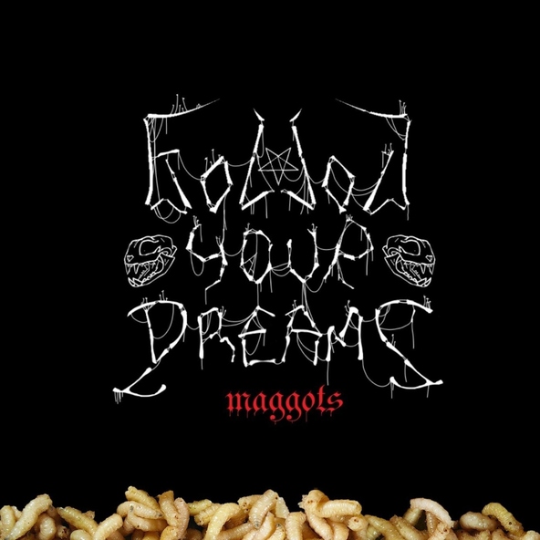 Follow Your Dreams - Maggots