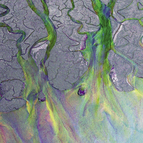 Alt-J - Ms