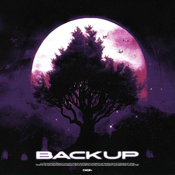 CNQR+ - Backup