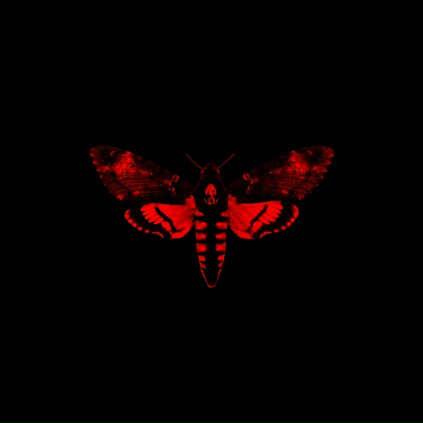 Lil Wayne feat. Gunplay - Beat The S***
