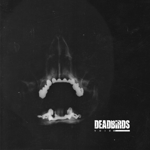 DEADBIRDS - Void