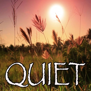 2017 Billboard Masters - Quiet - Tribute to MILCK (Instrumental Version)
