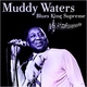 Muddy Waters - I Want You To Love Me