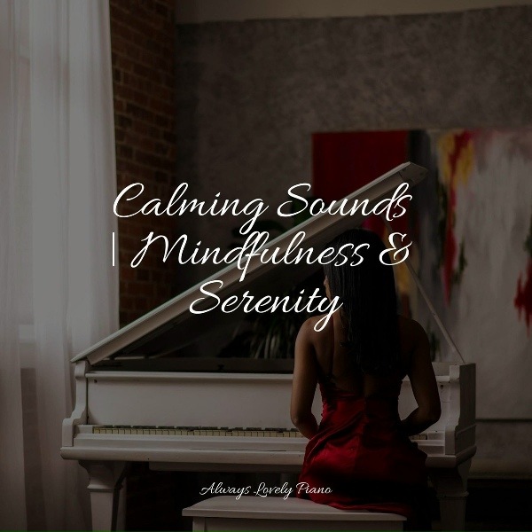 Piano para Dormir, Simply Piano, Piano Relaxation Maestro - Eclectic Hops