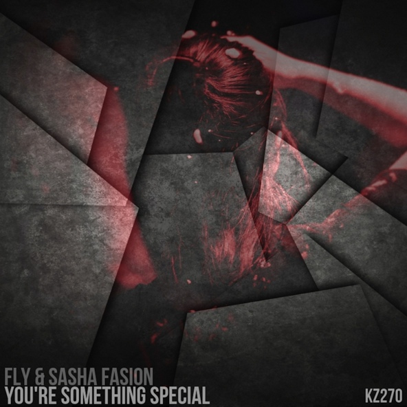 Fly, Sasha Fashion - You're Something Special