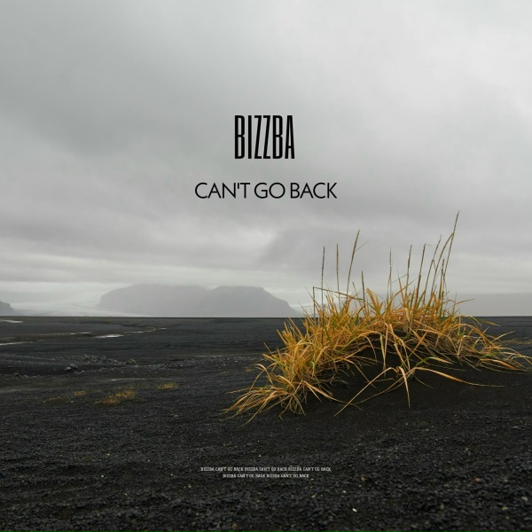 BIZZBA - Can't Go Back