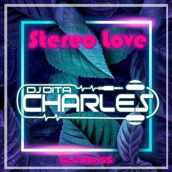 DJ Dita Charles - Stereo Love Slowbass
