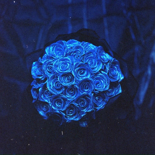 Zeke Bleu - A New Life
