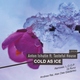 Anton Ishutin feat. Tasteful House - Cold as Ice (DJ Runo Remix) (DJ Runo Remix)