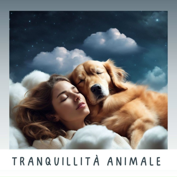 Amici Quattro Zampe - Relax per gatti