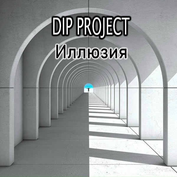 DIP Project