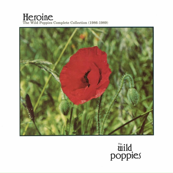 The Wild Poppies